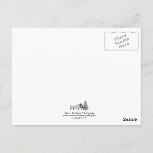 Carte Postale Sunset art (Dos)