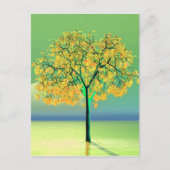 Carte postale Sunset Autumn Tree (Devant)