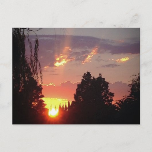 Carte postale Sunset California (Devant)