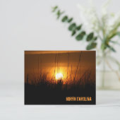 Carte Postale Sunset Caroline du Nord (Debout devant)