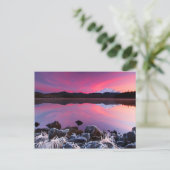 Carte Postale Sunset Cold Lake (Debout devant)