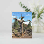 Carte postale Sunset Crater Volcano ! (Debout devant)