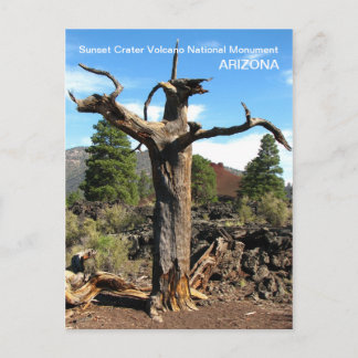 Carte postale Sunset Crater Volcano !