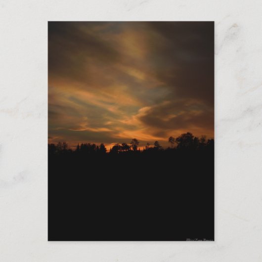 Carte postale Sunset d'août (Devant)