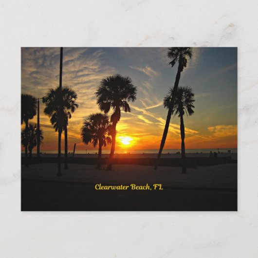 Carte Postale Sunset de Clearwater Beach (Devant)