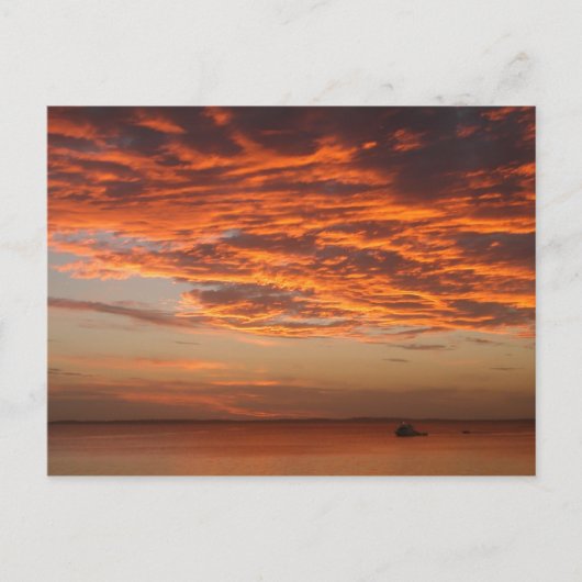 Carte Postale Sunset de l'île Fraser (Devant)