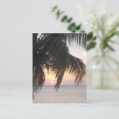 Carte Postale Sunset Doctor's Cave, Montego Bay, Jamaïque (Debout devant)