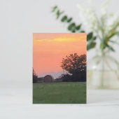 Carte Postale Sunset du nord du Texas (Debout devant)