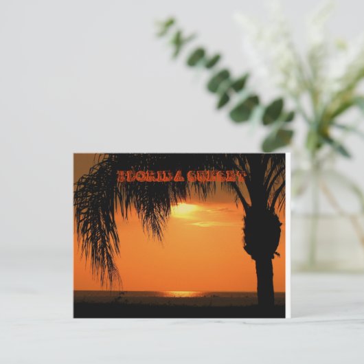 CARTE POSTALE SUNSET FLORIDA (Debout devant)