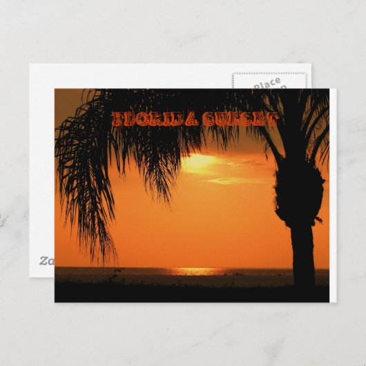 CARTE POSTALE SUNSET FLORIDA (Devant / Derrière)
