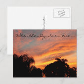 Carte postale Sunset Floride / Quand le ciel est e (Devant / Derrière)