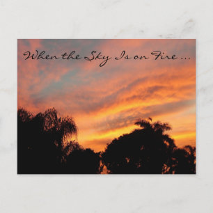 Carte postale Sunset Floride / Quand le ciel est e