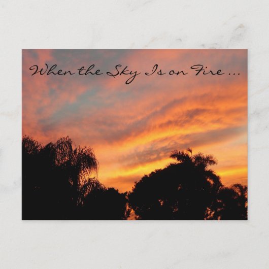 Carte postale Sunset Floride / Quand le ciel est e (Devant)