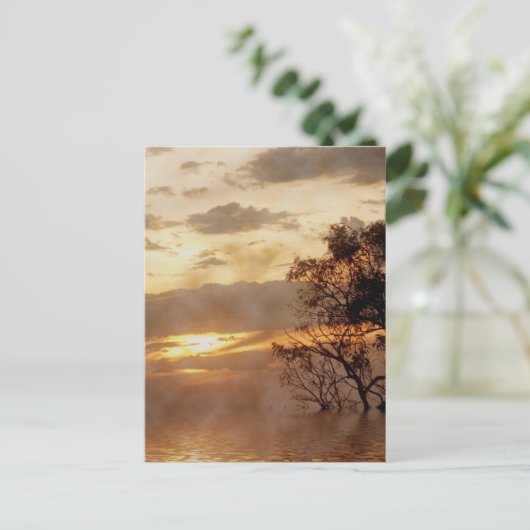 Carte postale Sunset Glory (Debout devant)