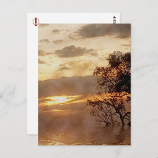 Carte postale Sunset Glory (Devant / Derrière)