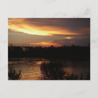 Carte postale Sunset Golden