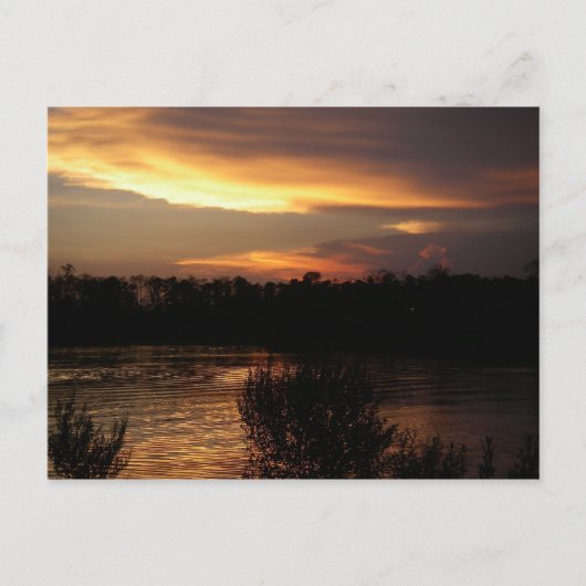 Carte postale Sunset Golden (Devant)