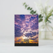 Carte postale Sunset hiver (Debout devant)