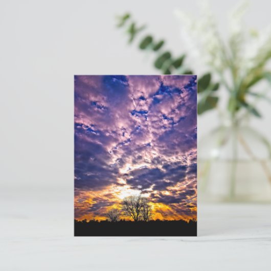 Carte postale Sunset hiver (Debout devant)