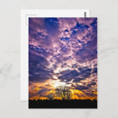 Carte postale Sunset hiver (Devant / Derrière)