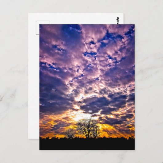 Carte postale Sunset hiver (Devant / Derrière)