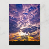 Carte postale Sunset hiver (Devant)