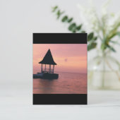 Carte Postale Sunset jamaïcain (Debout devant)