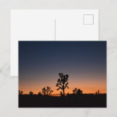 Carte Postale Sunset Joshua (Devant / Derrière)