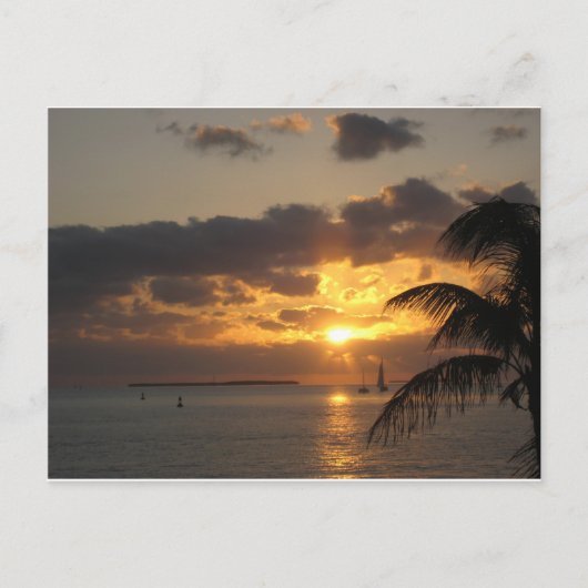 Carte Postale Sunset Key West, Floride (Devant)