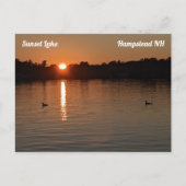 Carte postale Sunset Lake Loons au coucher du sole (Devant)