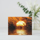 Carte postale Sunset Liquide (Debout devant)