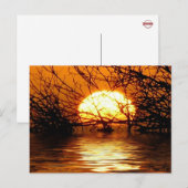 Carte postale Sunset Liquide (Devant / Derrière)