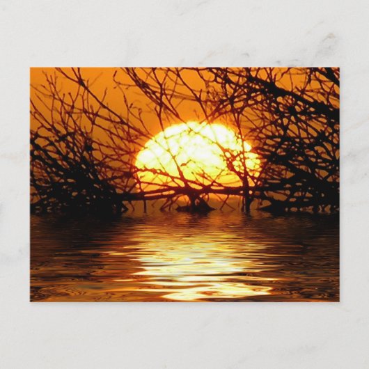 Carte postale Sunset Liquide (Devant)