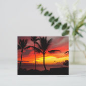 CARTE POSTALE SUNSET MAUI 2 (Debout devant)