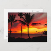 CARTE POSTALE SUNSET MAUI 2 (Devant / Derrière)