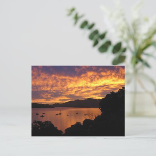 Carte Postale Sunset néo-zélandais (Debout devant)