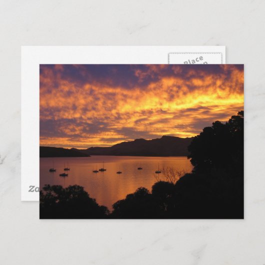 Carte Postale Sunset néo-zélandais (Devant / Derrière)