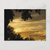 Carte postale Sunset novembre (Devant)