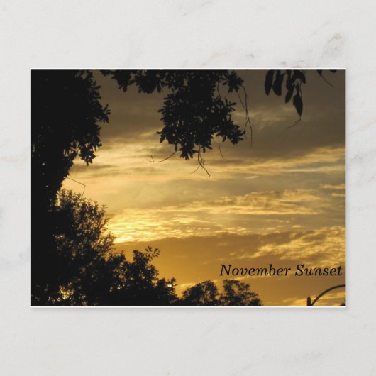 Carte postale Sunset novembre (Devant)