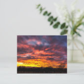 Carte Postale Sunset novembre (Debout devant)