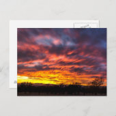 Carte Postale Sunset novembre (Devant / Derrière)