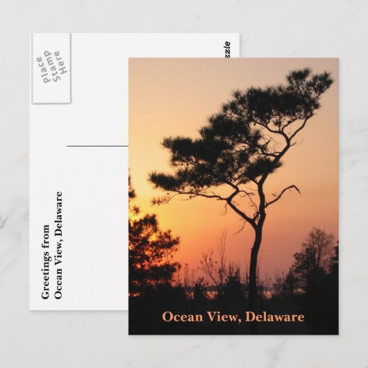 Carte postale Sunset Ocean View (Devant / Derrière)