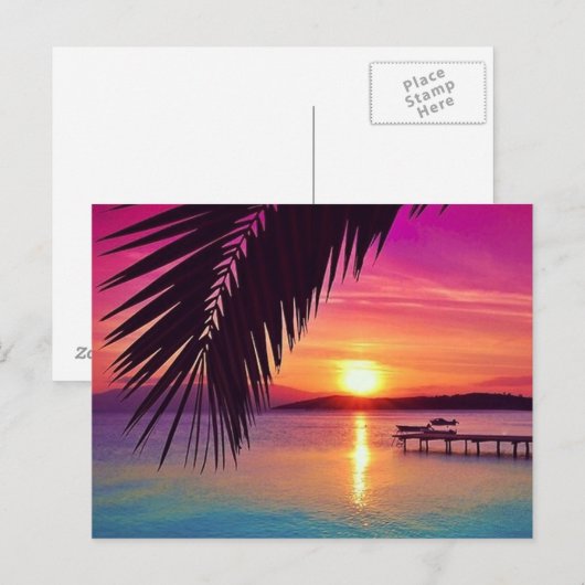 Carte postale Sunset Palm (Devant / Derrière)