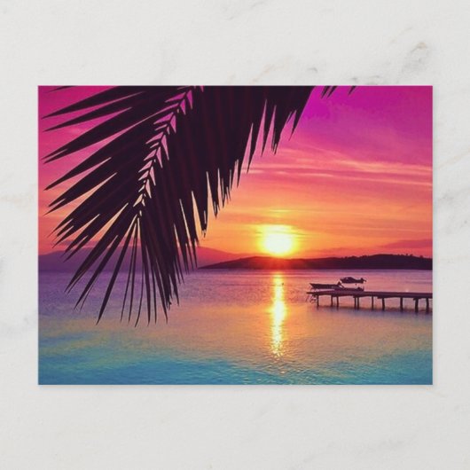 Carte postale Sunset Palm (Devant)
