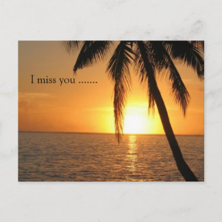Carte Postale Sunset Palm Beach Peace Love Destiny