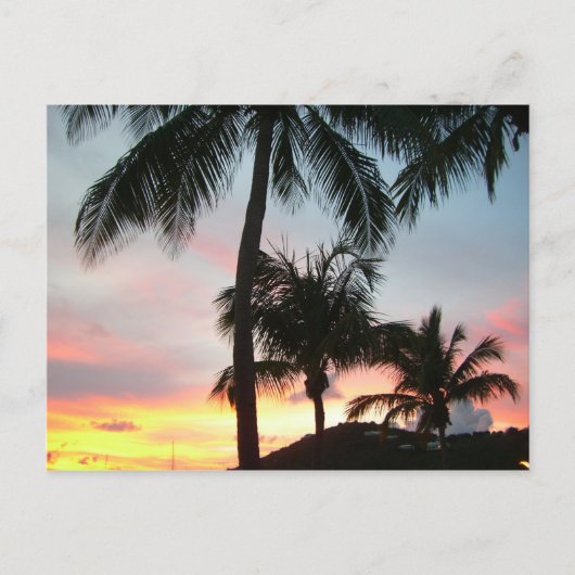 Carte Postale Sunset Palms Tropical Paysage Photographie (Devant)