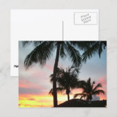 Carte Postale Sunset Palms Tropical Paysage Photographie (Devant / Derrière)