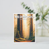 Carte Postale Sunset Redwood National Park Souvenir (Debout devant)