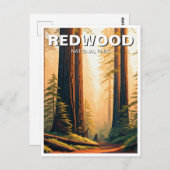 Carte Postale Sunset Redwood National Park Souvenir (Devant / Derrière)