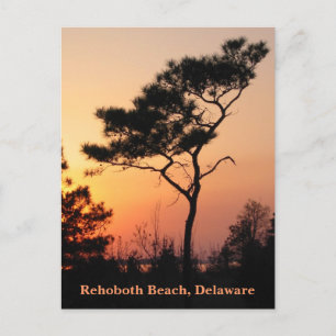 Carte postale Sunset Rehoboth
